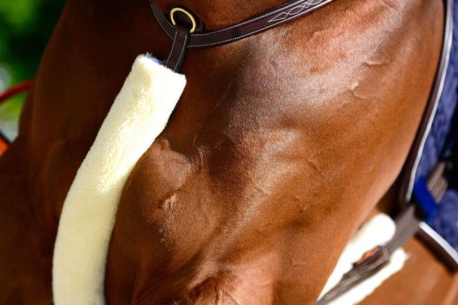 Hovedbilde Kentucky Sheepskin Breastplate Cover