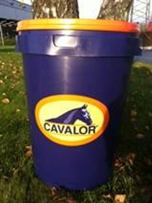 Hovedbilde Cavalor Fordunke 