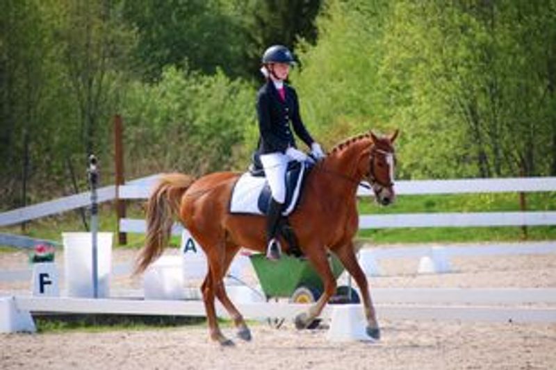 Karoline Ragnhildsrud